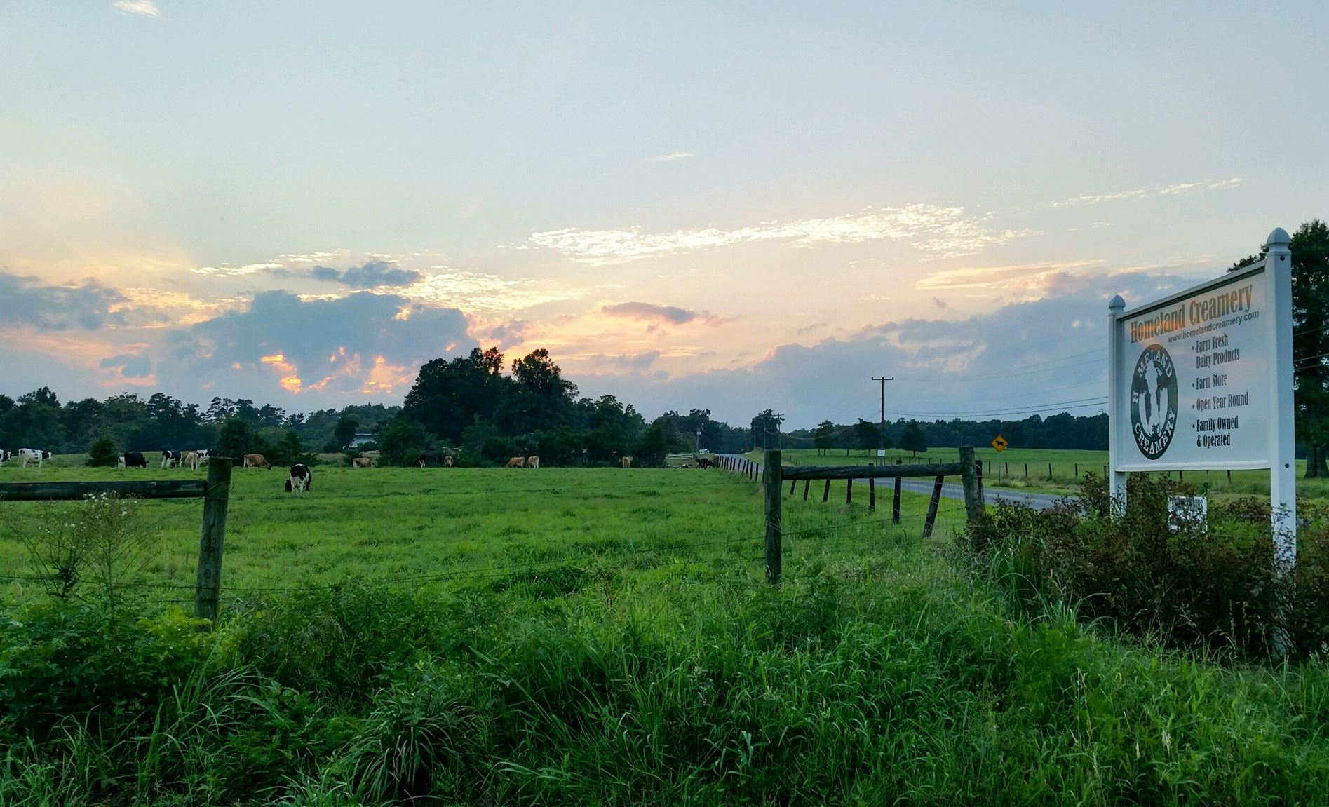 https://www.mdvamilk.com/wp-content/uploads/2019/07/11754458_10152957339618344_9018417935441949823_square.jpg