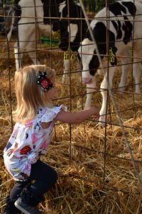https://www.mdvamilk.com/wp-content/uploads/2019/08/DSC_0223-small-e1565225969498.jpg