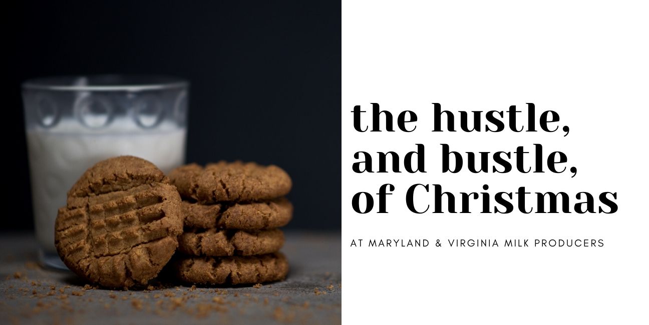 https://www.mdvamilk.com/wp-content/uploads/2019/12/Hustle-Bustle-Blog-Header.jpg